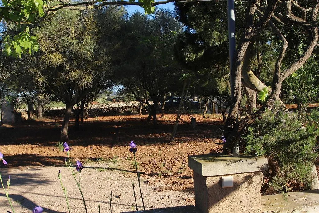Finca Es Tres Pins Villa Campos  Spanyolország